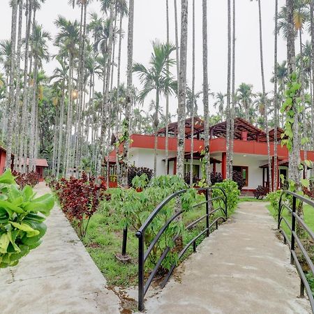 Ezzenza Areca Resort Madikeri Zewnętrze zdjęcie